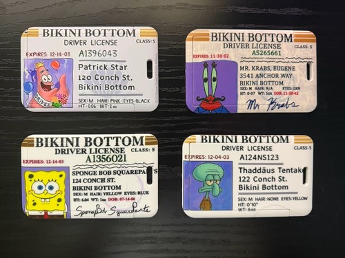 Spongebob driving licence - driving,