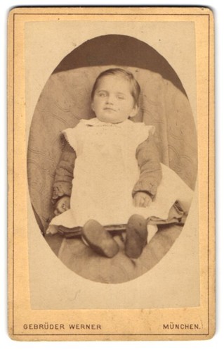 Fotografia gebrüder werner - gebrüder,